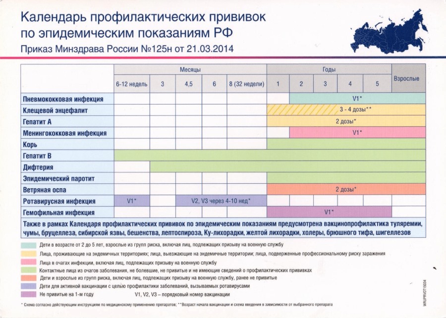 Календарь профилактических прививок по эпидемическим показания РФ