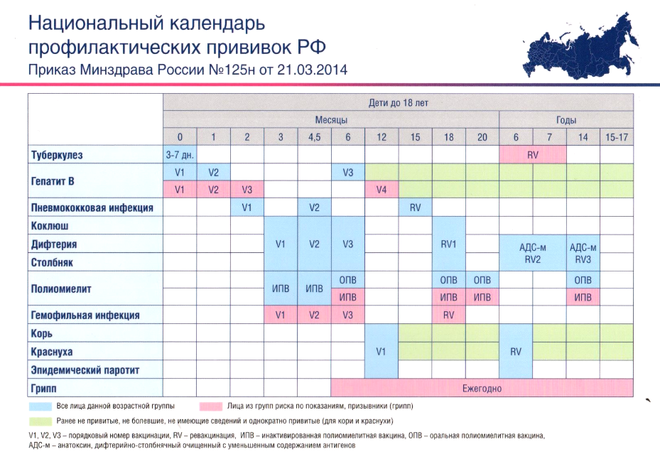 Национальный календарь профилактических прививок РФ